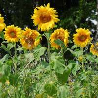 Tolle Sommerromane für Frauen
